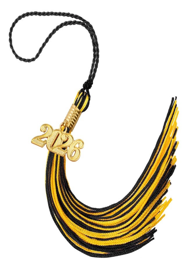 Nelisylux 2026 Tassel Graduation, Black and Gold Graduation Tassel, 2026 Tassel Charms for Graduations Cap Decorations, Tassels Memorial Grad Cords for College High School Graduate Hat Ceremonies Accessories - Image 1